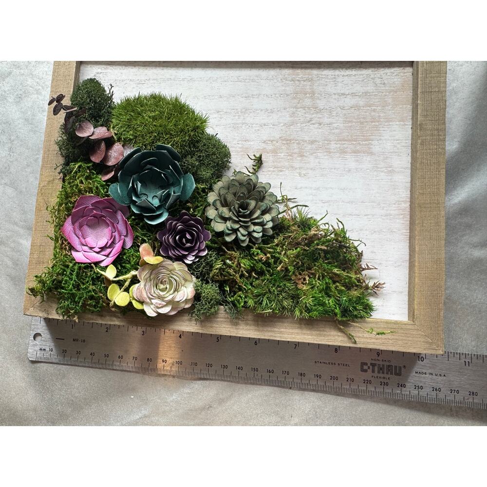Handmade 8x10 Preserved Moss Wall Art w/ Paper Succulents Rustic Botanical Decor - Picture 11 of 12